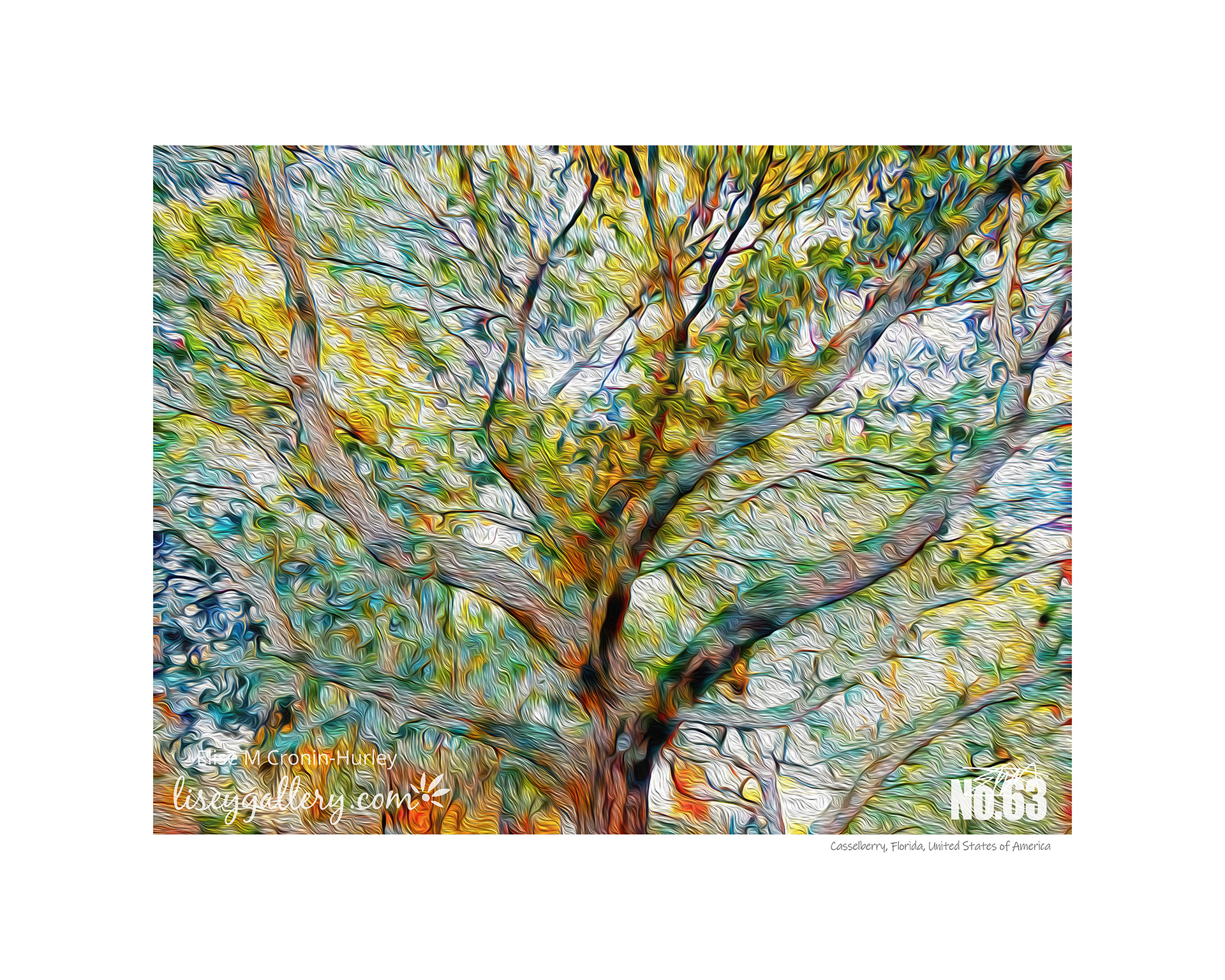 63 In the Whimsy of a Simple Tree