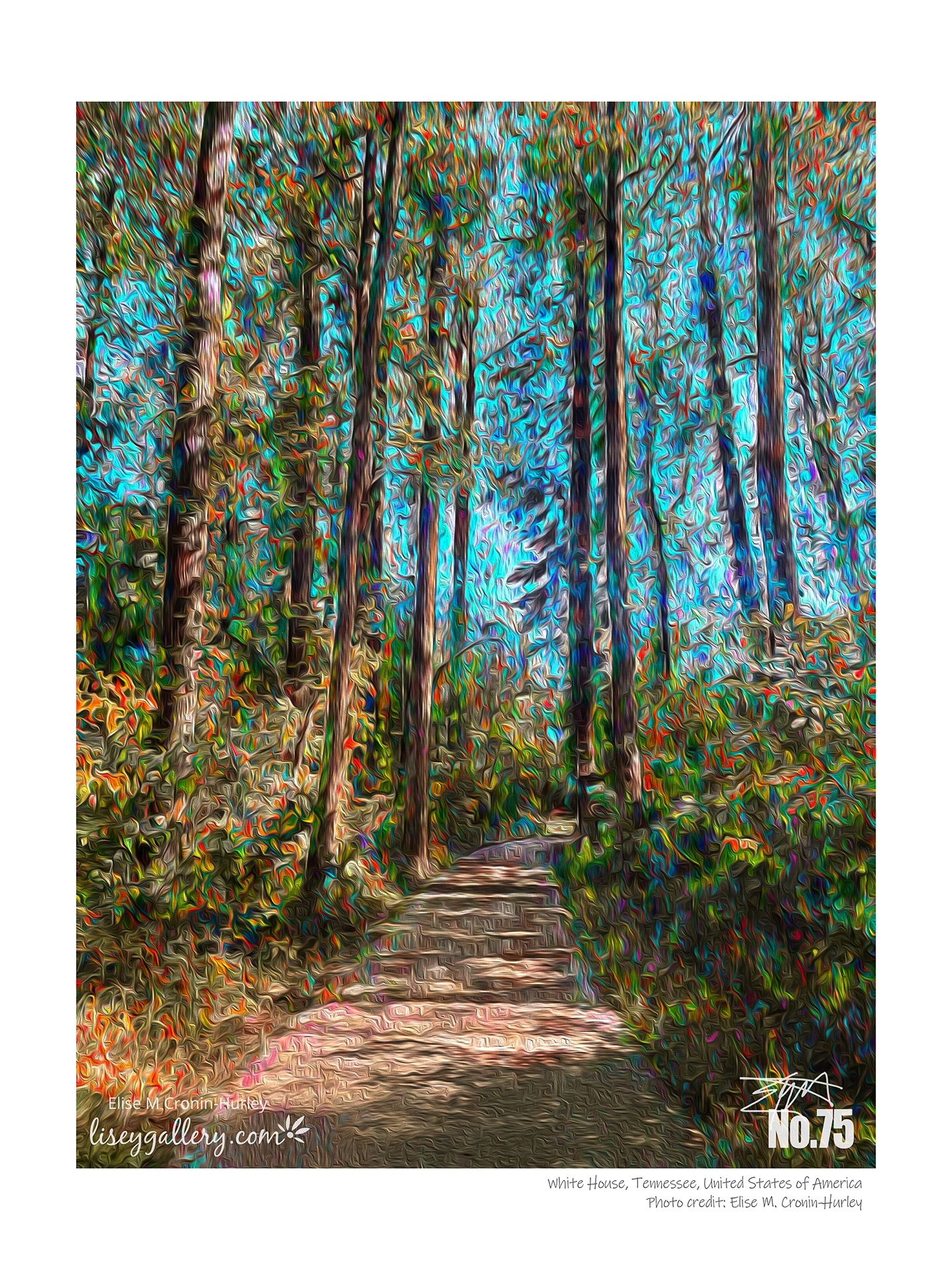 75 Wandering the Forest for the Trees